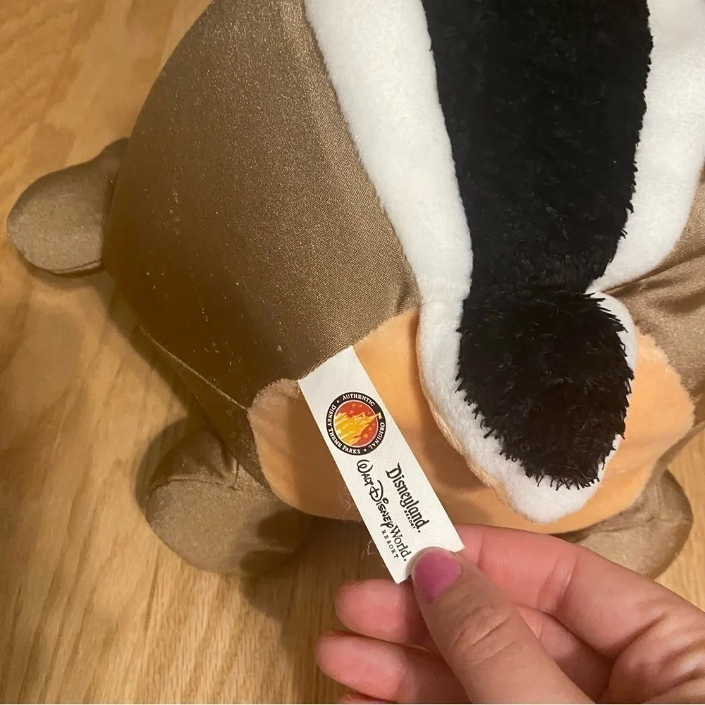 Disney World Authentic Beanie Ball Dale Chipmunk 11
